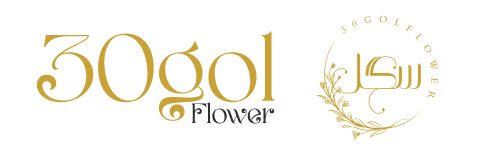 سی گل فروشگاه گل