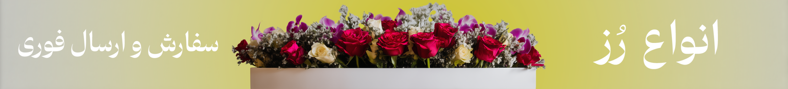 Banner 1