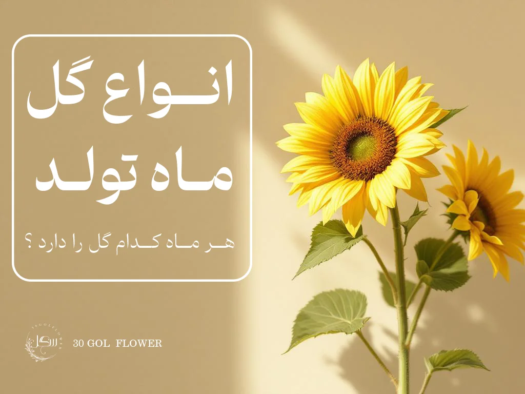 گل ماه تولد | طالع بینی گل ماه تولد ، هر ماه چه گلی دارد ؟ ، سی گل