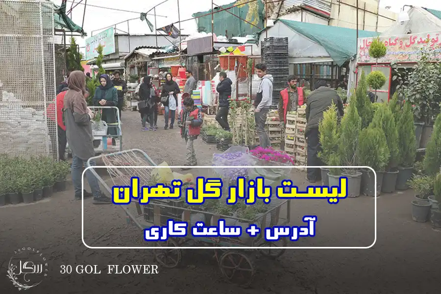 اسامی بازار گل تهران + خرید گل از بازار گل و گیاه آپارتمانی تهران