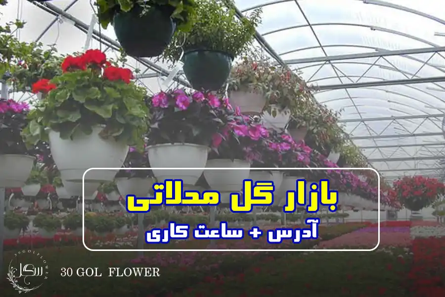 بازار گل محلاتی در تهران کجاست ؟ آدرس و ساعت کاری