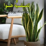 گیاه سانسوریا و تصفیه هوا - هوای پاکیزه و تازه سی گل